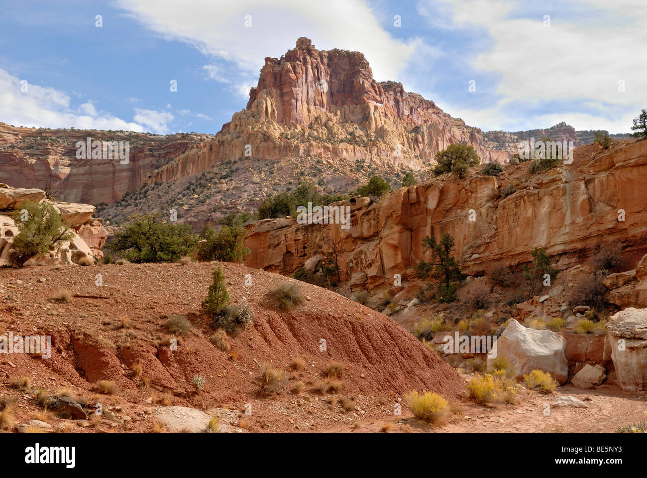 Vista della cupola dorata, Scenic Drive, Capitol Reef National Park nello Utah, Stati Uniti d'America Foto Stock