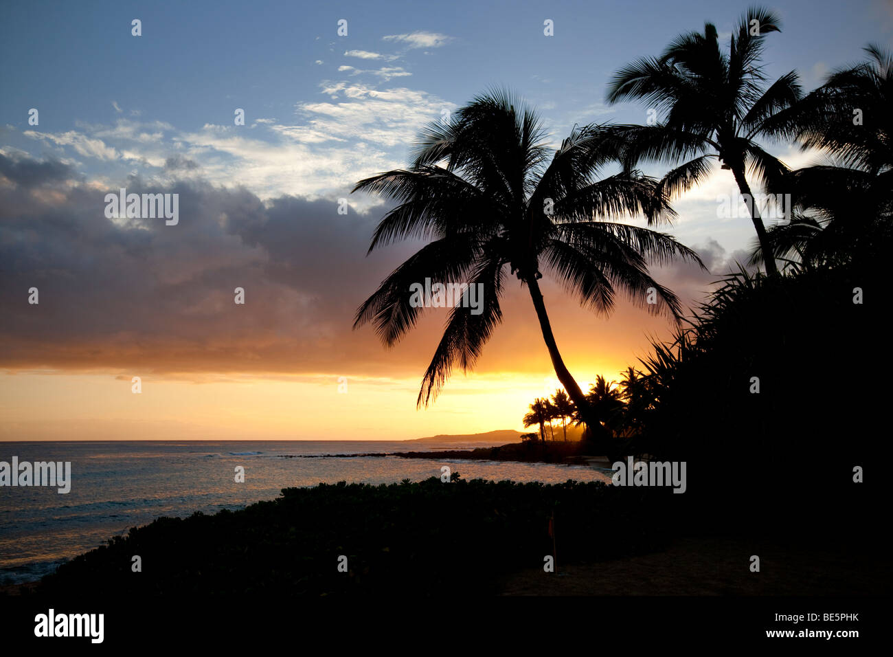 Poipu tramonto con palme. Kauai, Hawaii. Foto Stock