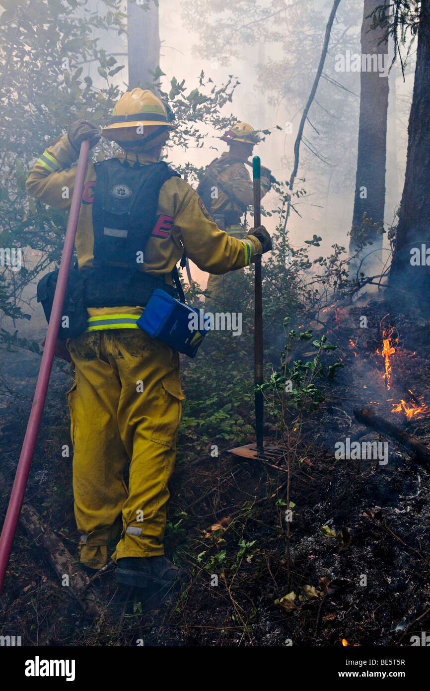 Wildland vigili del fuoco presso la California Lockheed wildfire in Santa Cruz Mountains. CALFIRE/CDF Foto Stock