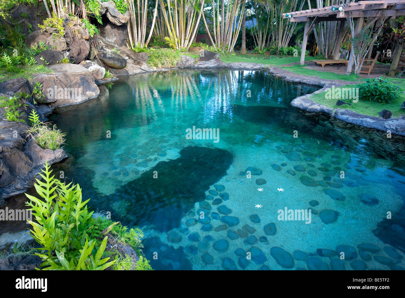Stagno e giardino a Na Aina Kai Giardini Botanici. Kauai, Hawaii Foto Stock