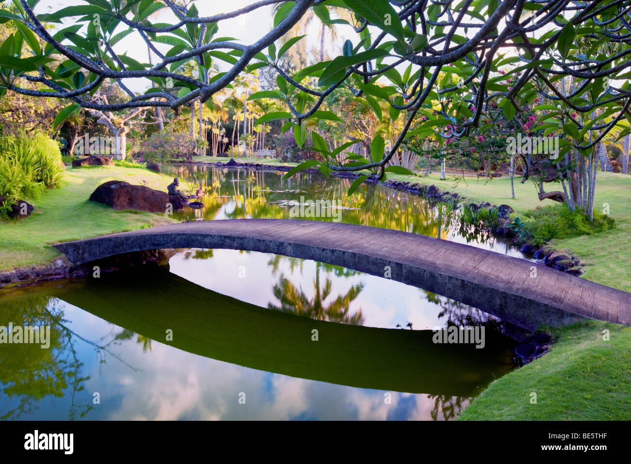 Ponte e stagno e giardino a Na Aina Kai Giardini Botanici. Kauai, Hawaii Foto Stock
