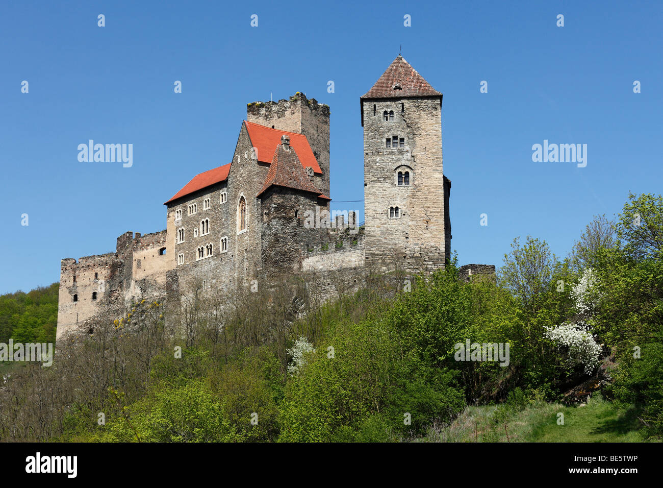 Burg Hardegg Castello, Waldviertel, Austria Inferiore, Austria, Europa Foto Stock