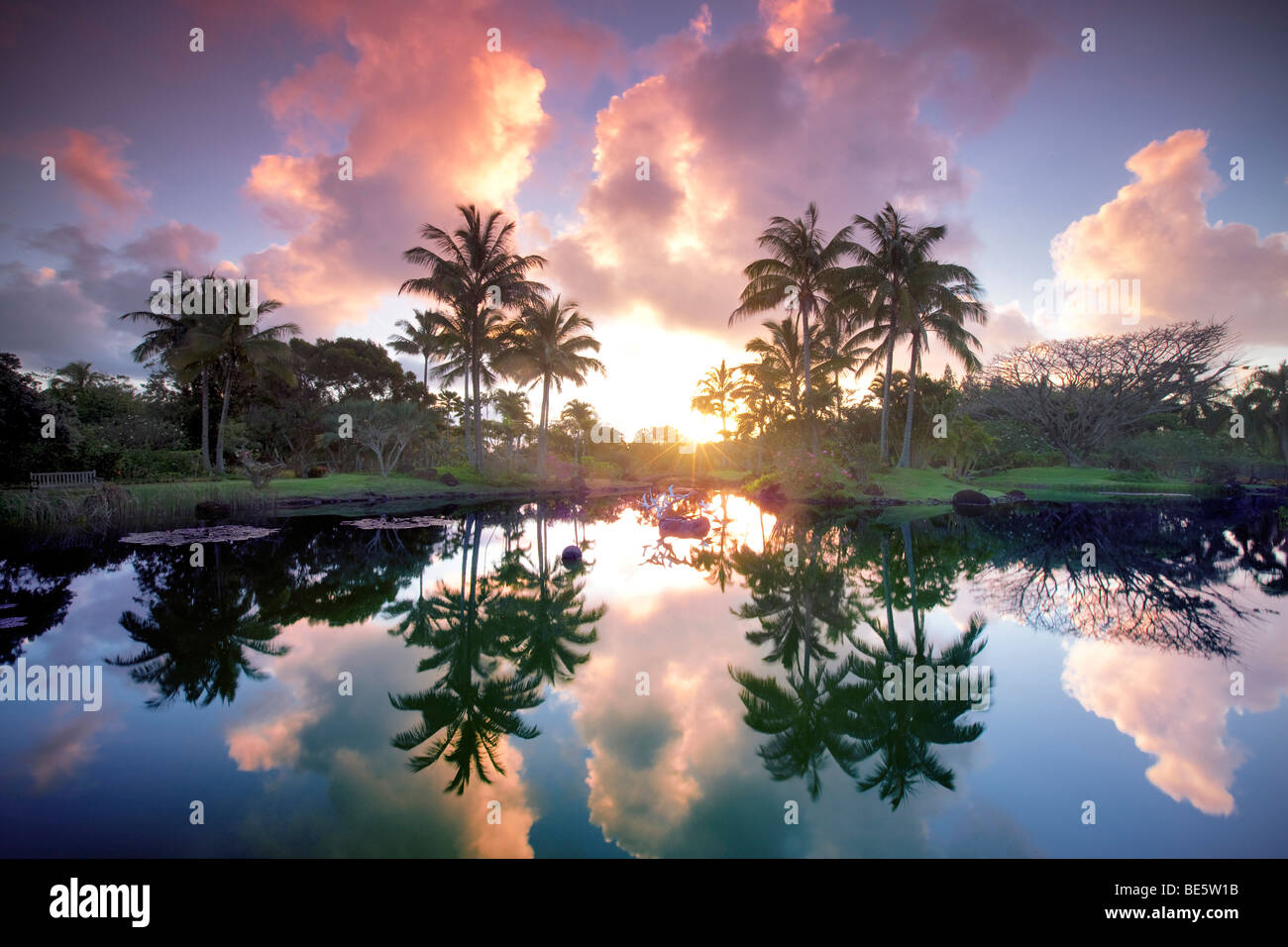 Stagno riflettente con palme e giardino a Na Aina Kai Giardini Botanici. Kauai, Hawaii Foto Stock