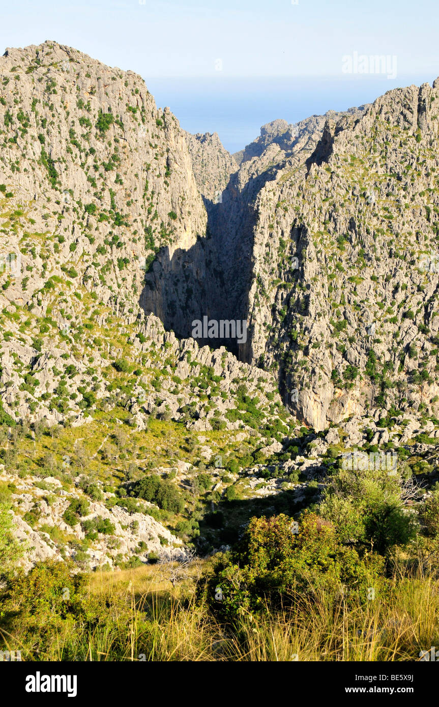 Vista del torrente de Pareis Gorge, una delle migliori aree di escursioni dell'isola, montagne Tramuntana, Maiorca, isole Baleari, Foto Stock