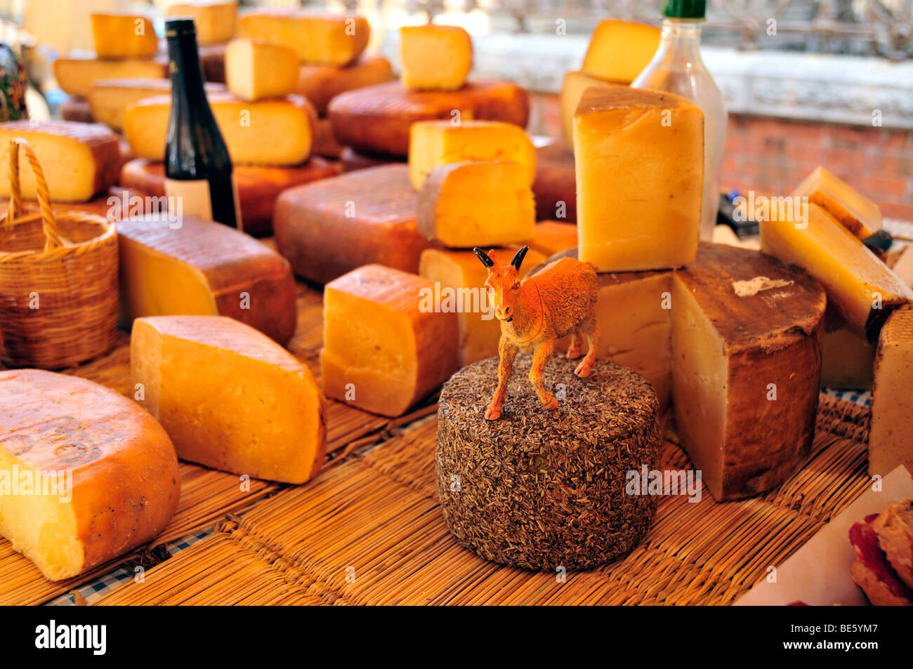 Formaggio di capra a un mercato in stallo a Soller, Maiorca, isole Baleari, Spagna, Europa Foto Stock