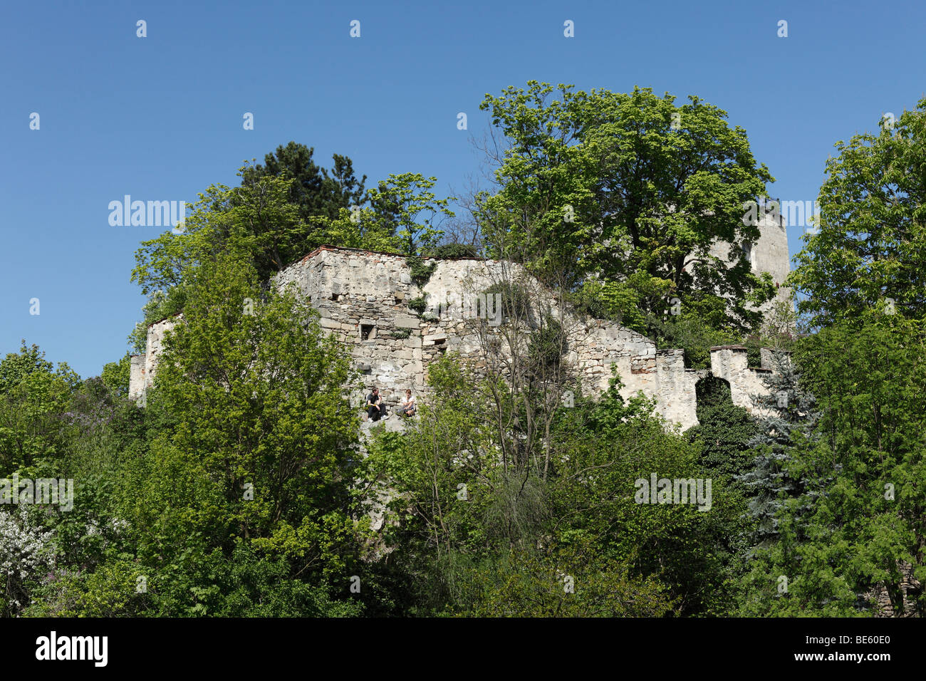 Fortificazione della città, Eggenburg, Waldviertel, Austria Inferiore, Austria, Europa Foto Stock