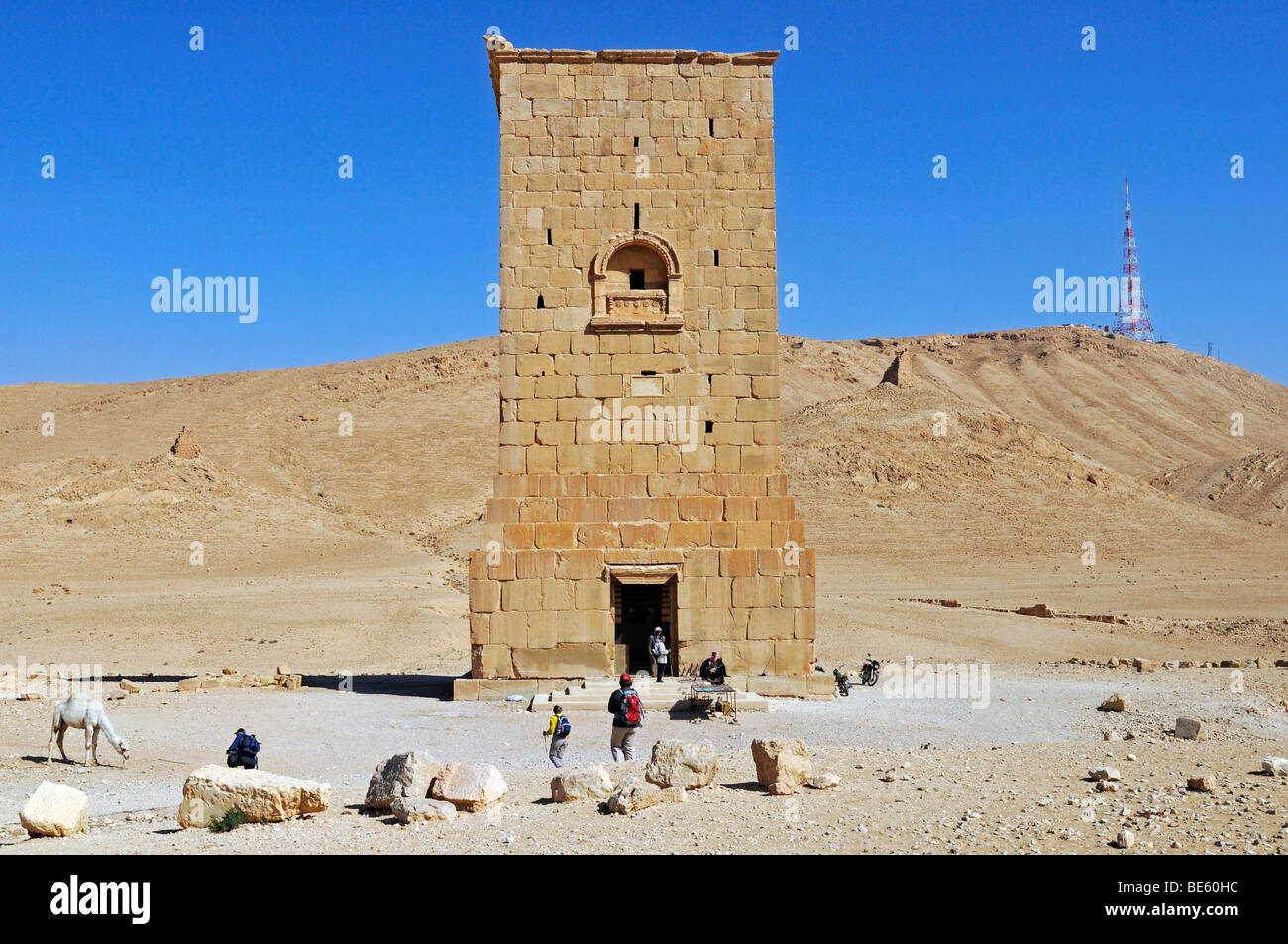 Tomba di torre Elahel nella valle di tombe, Palmyra sito dello scavo, Tadmur, Siria, Asia Foto Stock