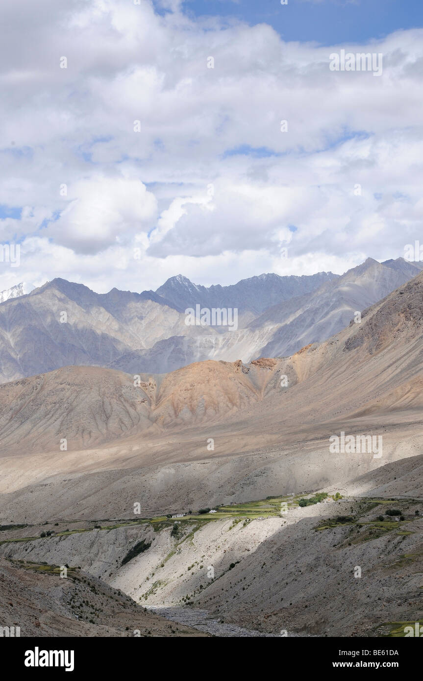 Oasi all'affluente del fiume Shyok nella Valle di Nubra, orzo colture intorno a 4000 m.s.l.m, Ladakh, Jammu un Foto Stock