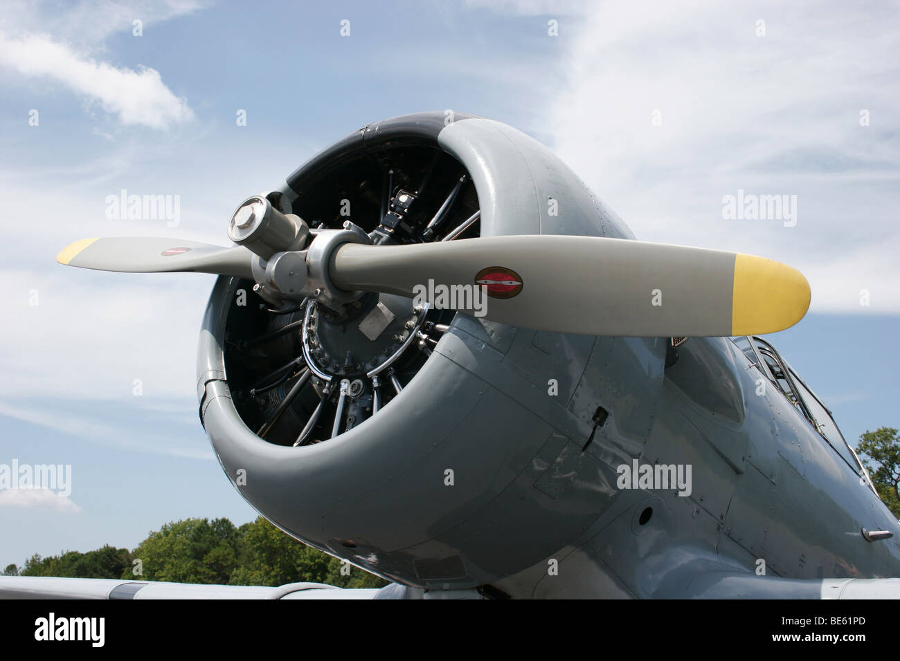 North American T-6 aereo, Louisa, Virginia Foto Stock