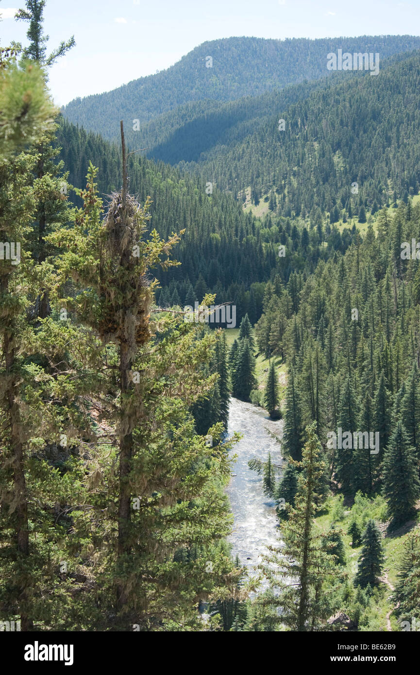 Southern Colorado vicino al Canyon di eco Foto Stock