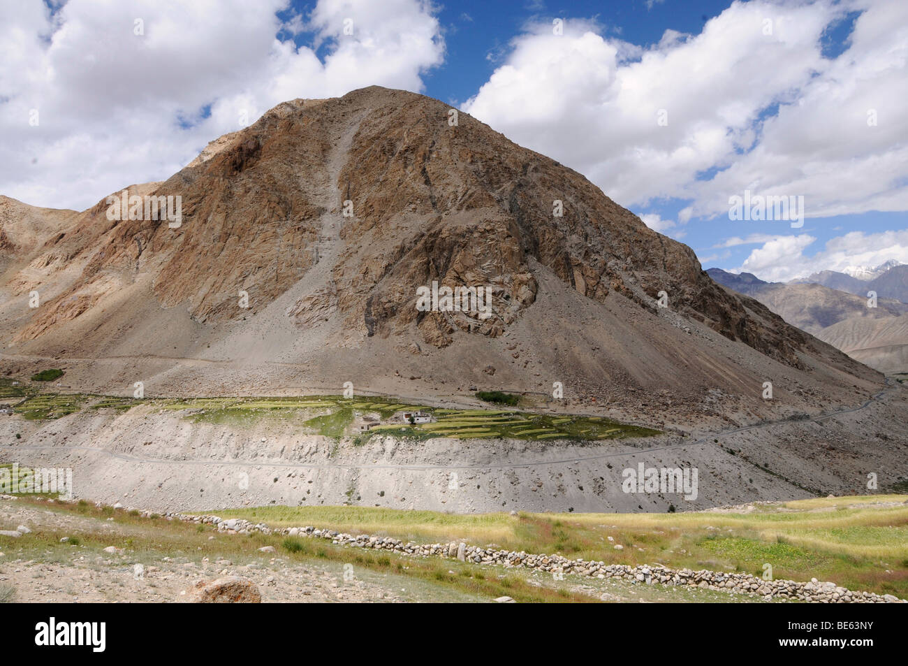 Oasi all'affluente del fiume Shyok nella Valle di Nubra, orzo colture intorno a 4000 m.s.l.m, Ladakh, Jammu un Foto Stock