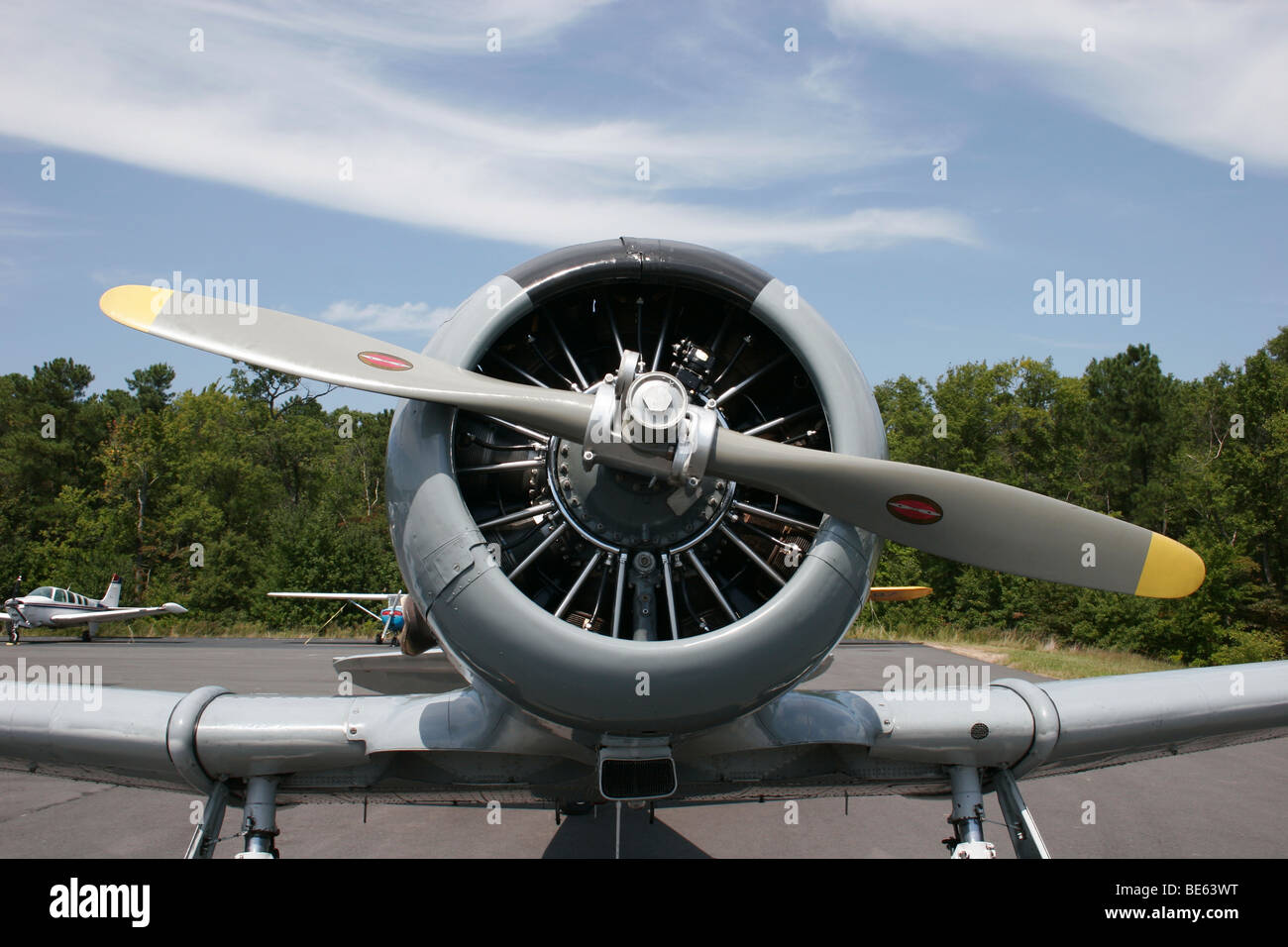 North American T-6 aereo, Louisa, Virginia Foto Stock