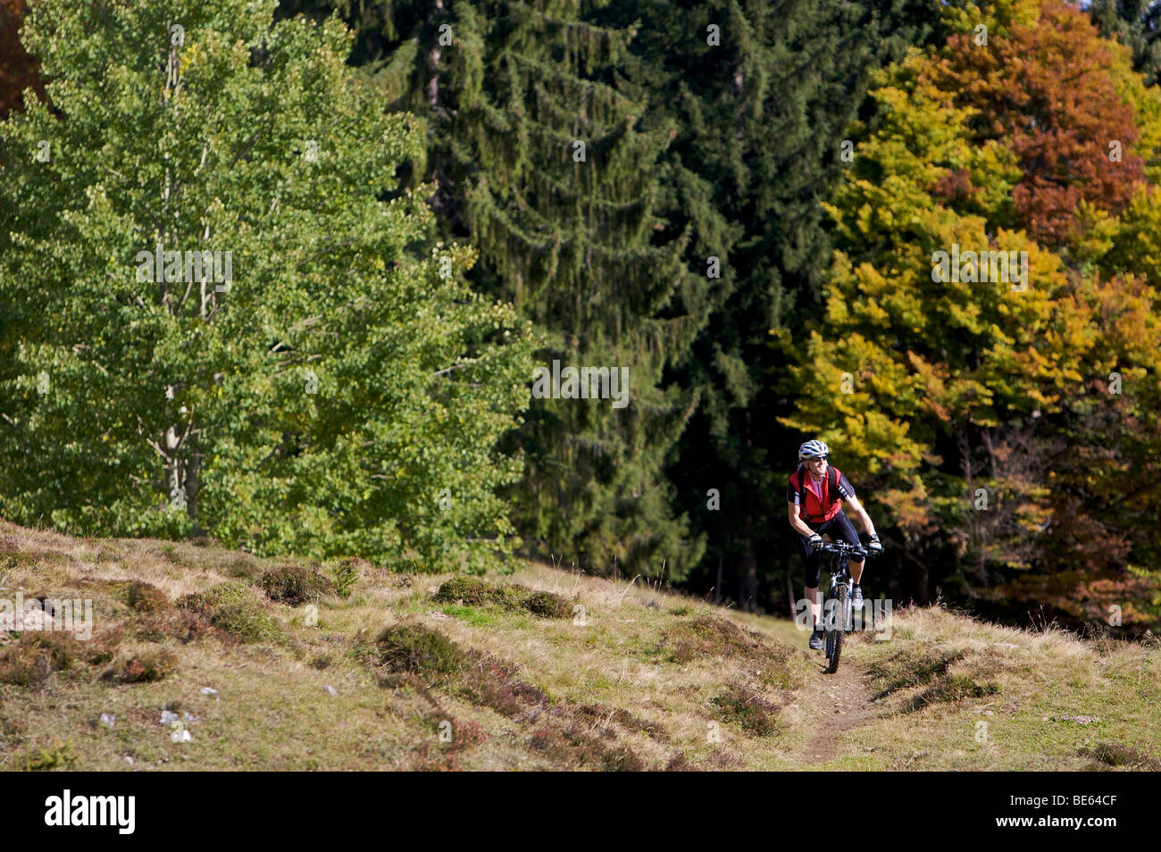 Mountainbiker sul monte Gaisberg, Rettenbach, Tirolo, Austria, Europa Foto Stock