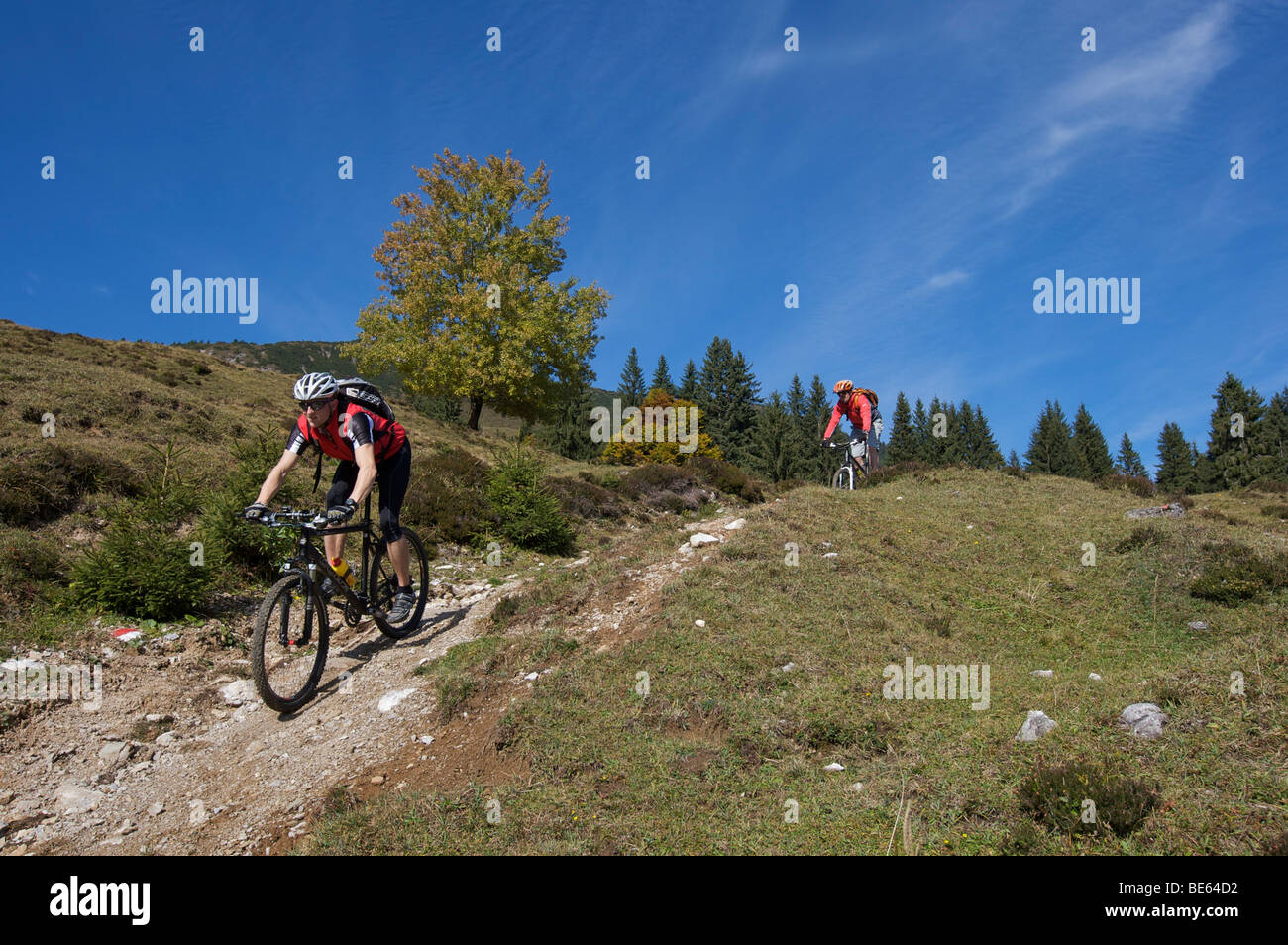 Mountainbiker sul monte Gaisberg, Rettenbach, Tirolo, Austria, Europa Foto Stock
