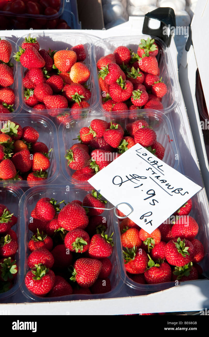Fragole locali in vendita nel corso di Ludlow Food Festival Shropshire Foto Stock