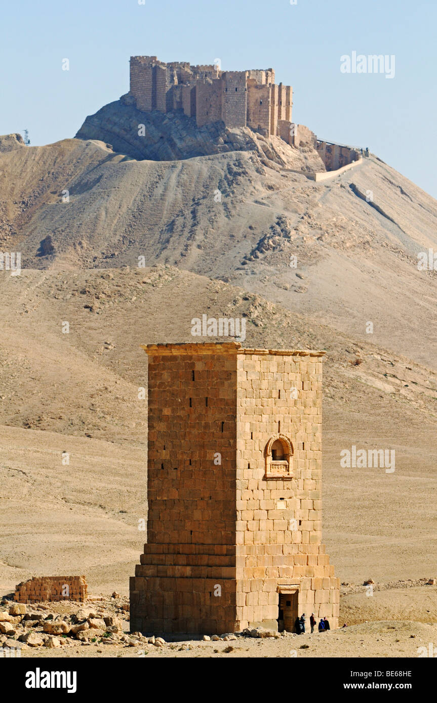 Tomba di torre Elahel nella valle di tombe, Palmyra sito dello scavo, Tadmur, Siria, Asia Foto Stock