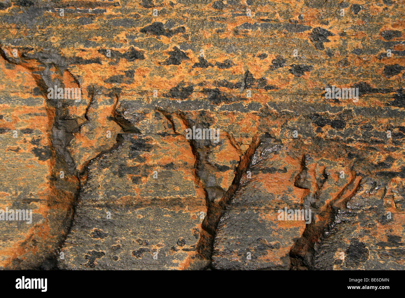 Ruggine pattern colorati sulla roccia metamorfica ardesia. Prese a Soweto, Johannesburg, Sud Africa Foto Stock