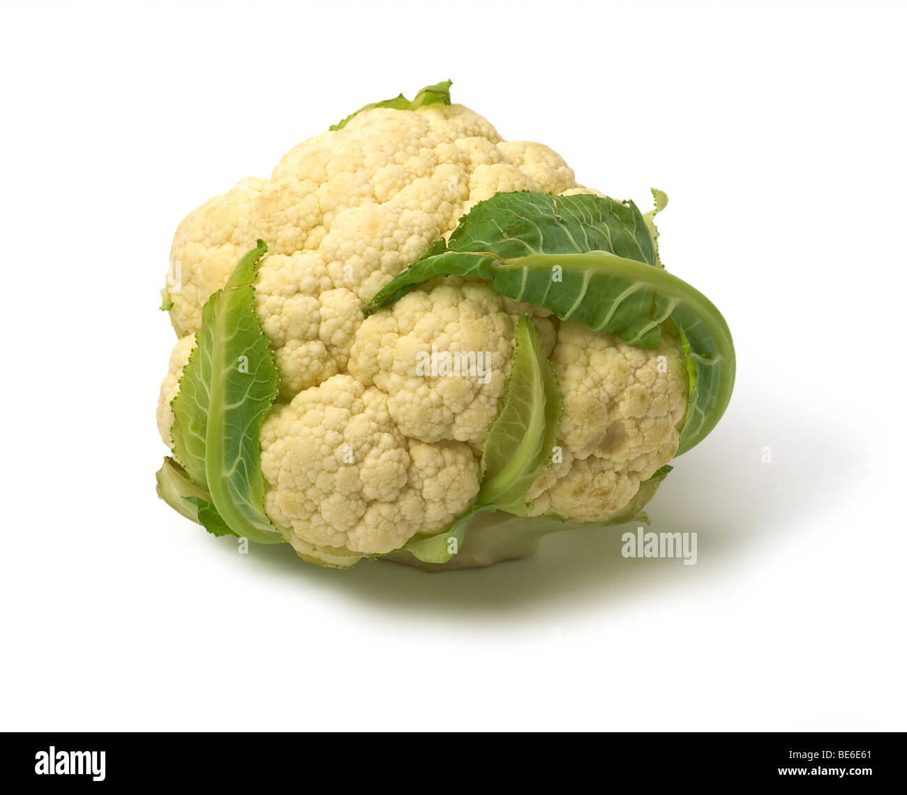 Testa di cavolfiore isolati su sfondo bianco Foto Stock