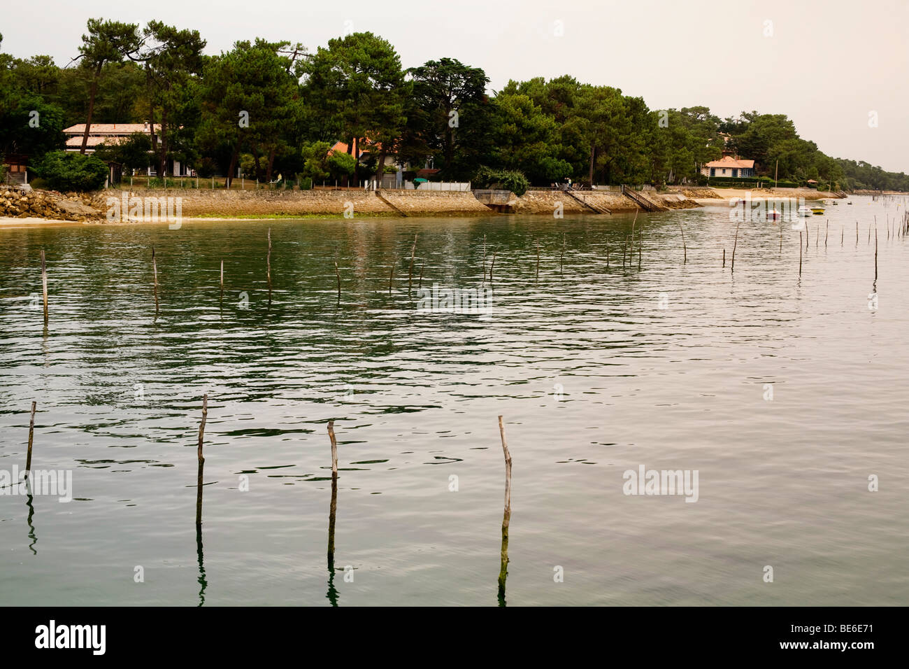 La sponda anteriore in Cap Ferret sul Bassin d'Arcachon (Baia di Arcachon) mostra poli nell'acqua indicando oyster letti di raccolta Foto Stock