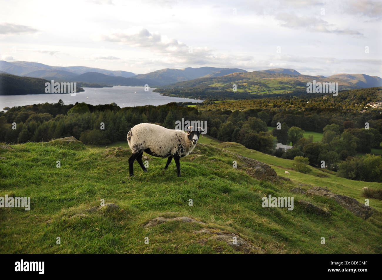 Vista da Brantfell sopra il Lago Windemere e la città di Bowness nel Lake District in Cumbria Regno Unito Foto Stock