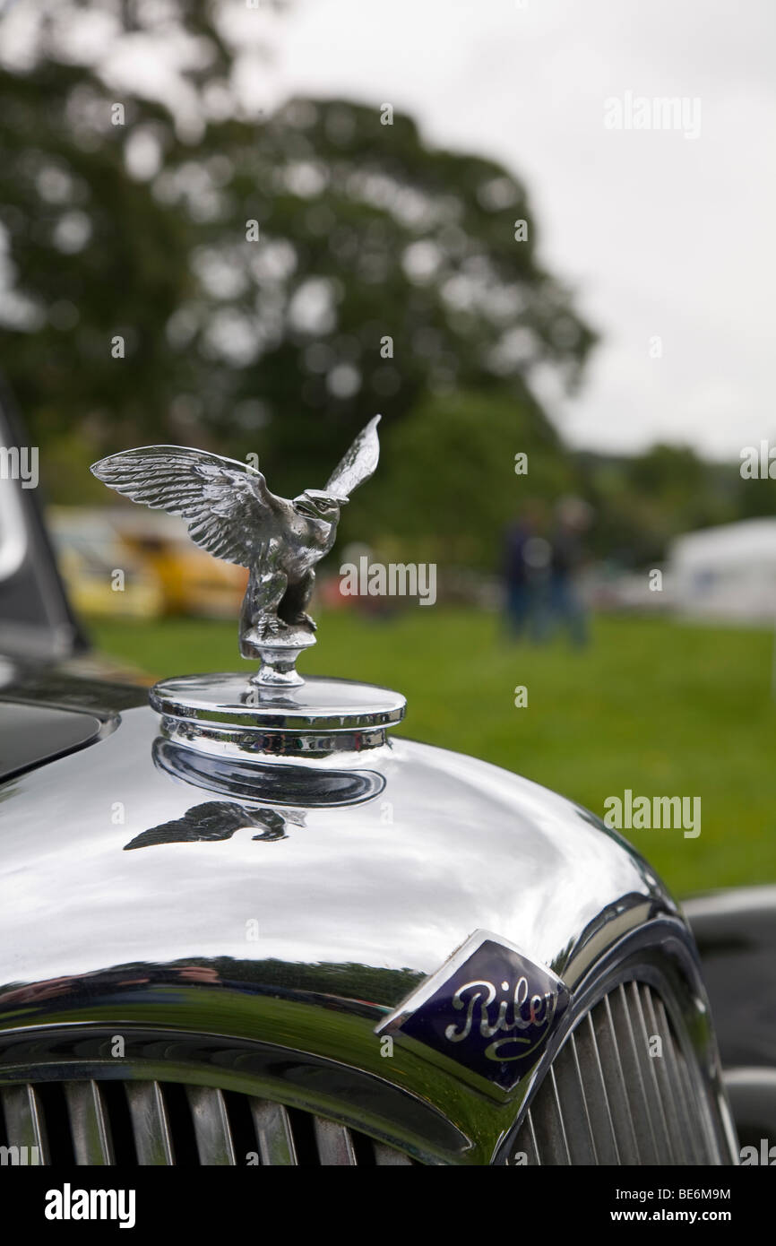 Flying Eagle ornamento del cofano su vintage Riley auto a Scottish Borders automobilismo storico stravaganza 2009 Foto Stock