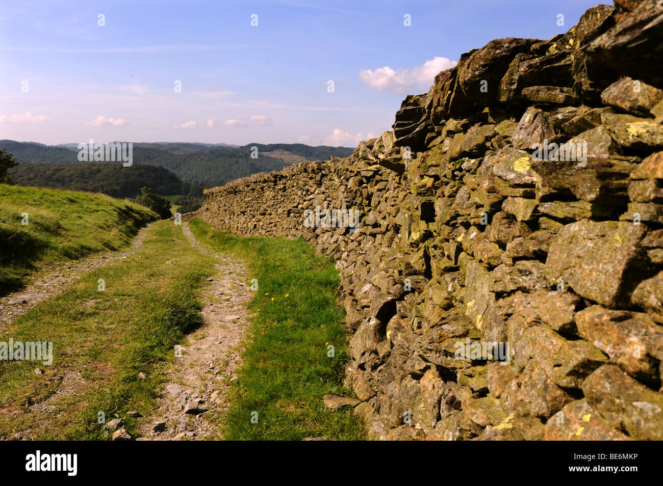 Asciugare la parete in pietra a fianco di una remota via vicino lontano Sawrey nel Lake District Cumbria Regno Unito Foto Stock
