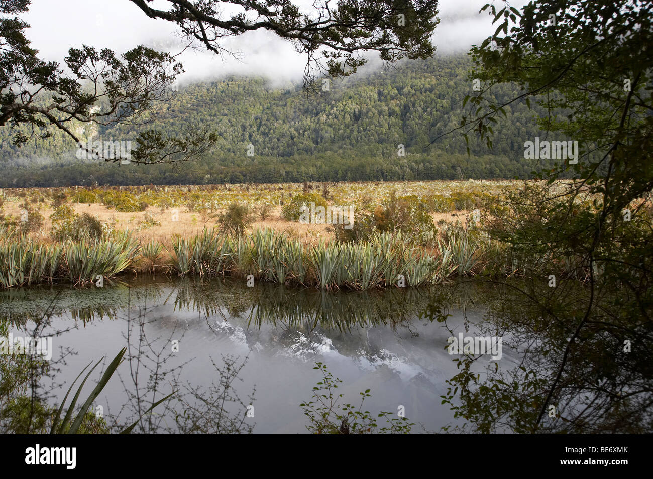 Laghi Specchio, Milford Road, Parco Nazionale di Fiordland, Fiordland, Isola del Sud, Nuova Zelanda Foto Stock