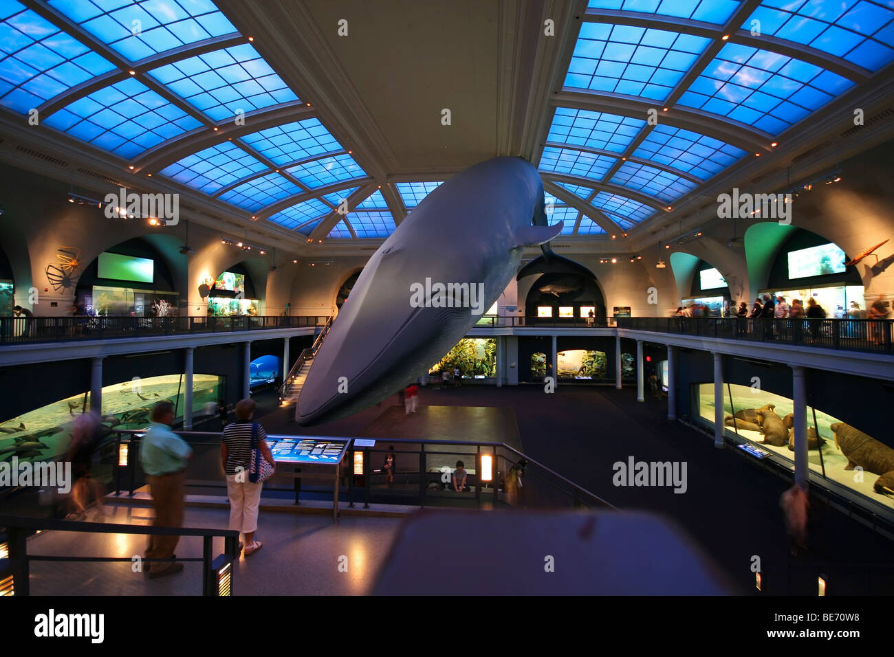 Museo di Storia Naturale, Manhattan, New York, USA, America del Nord Foto Stock