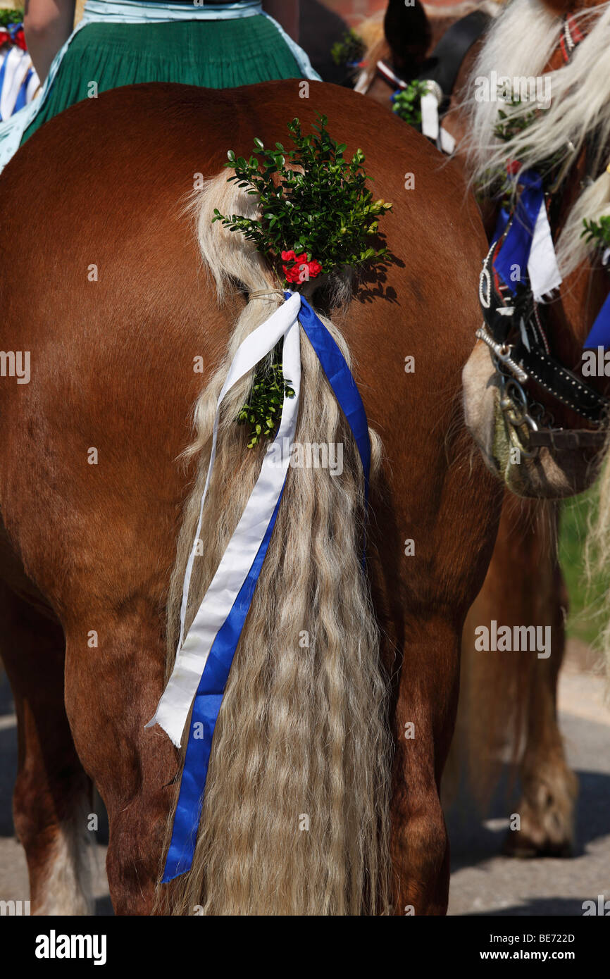 Decorate di coda di cavallo, Georgiritt, George's Ride, la processione di Pasqua, Traunstein, Chiemgau, Alta Baviera, Baviera, Germania, Euro Foto Stock