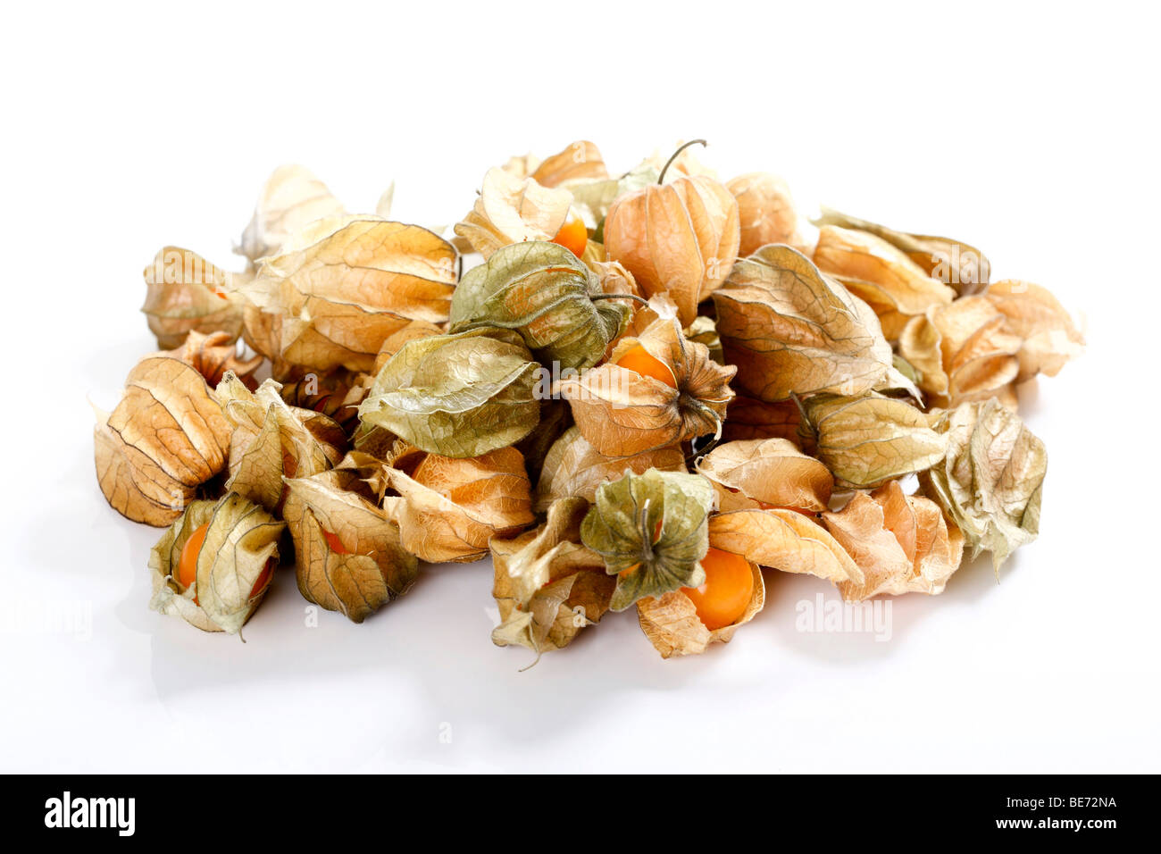 Physalis, ribes del Capo Foto Stock