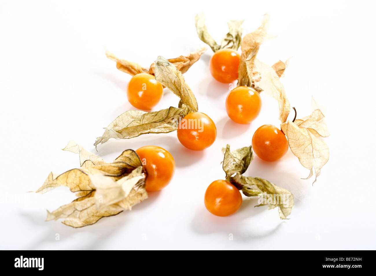 Physalis, ribes del Capo Foto Stock
