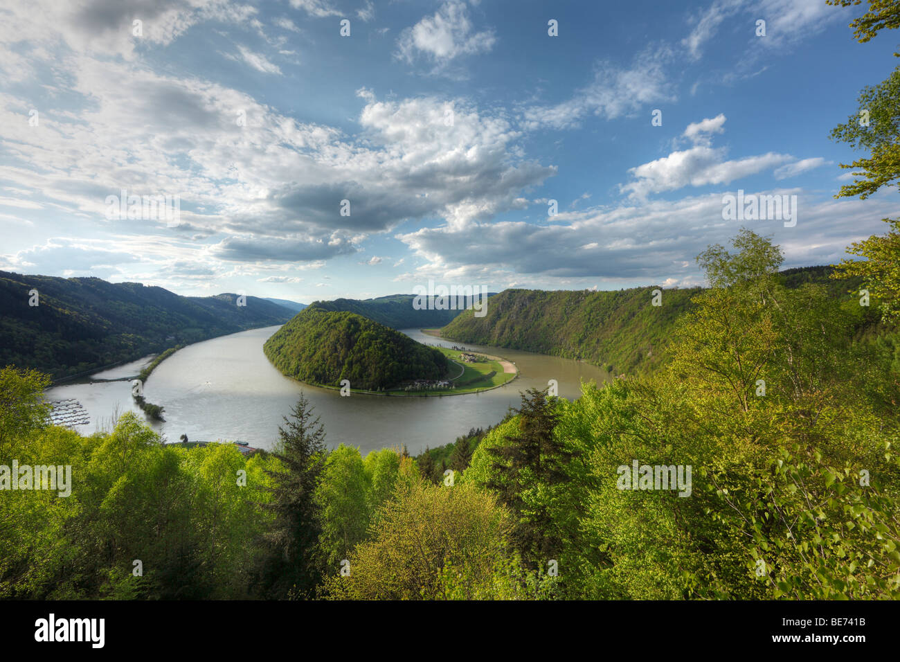 Fiume Danubio, Schloegener loop, Schloegen, Austria superiore, Austria, Europa Foto Stock