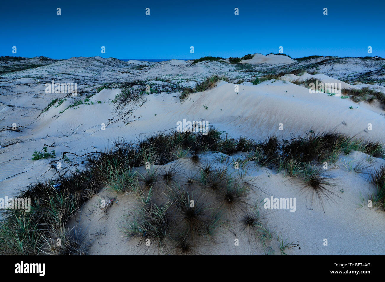 Moonlit dune, Ke Ga, Vietnam Asia Foto Stock