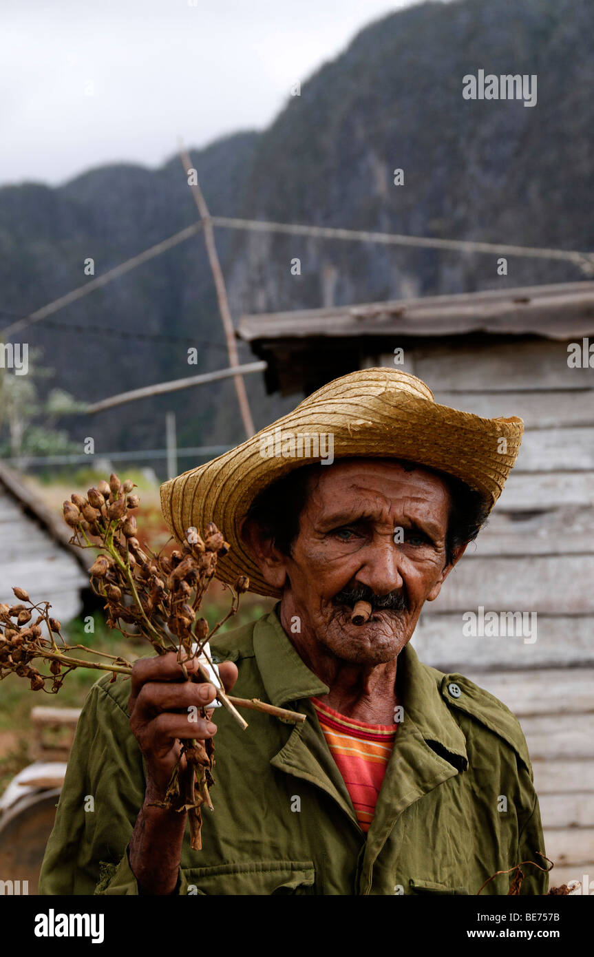 Il vecchio contadino cubano, Vinales, Cuba Foto Stock