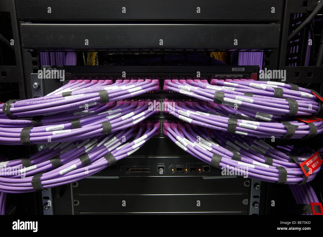 Informatica e comunicazioni camera viola i fasci di cavi ethernet hub server commutatore Foto Stock