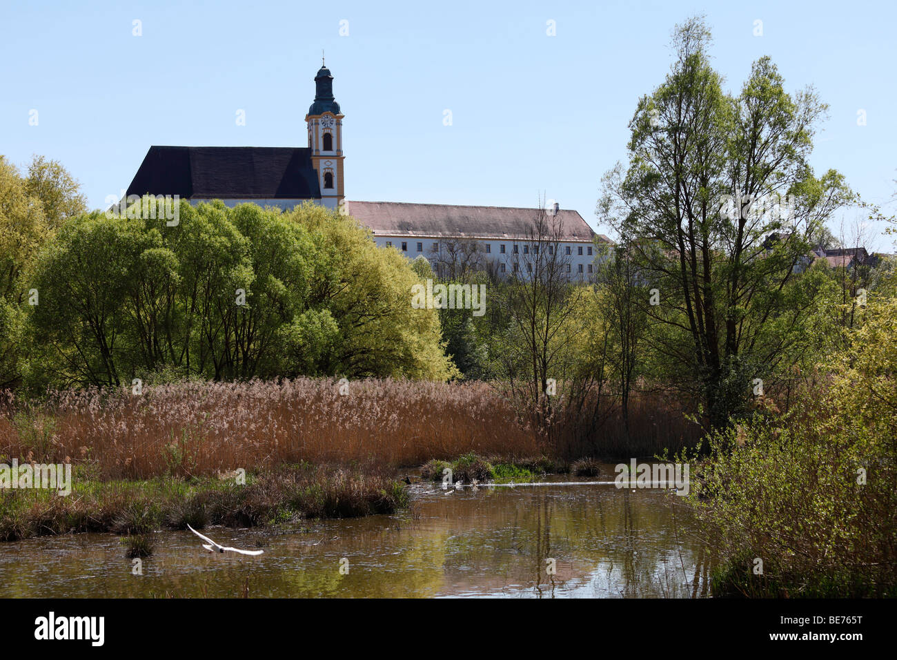 In backwaters Innauer, Riserva europea Unterer Inn, il monastero degli Agostiniani, Reichersberg Innviertel, Austria superiore, Austria, Eur Foto Stock