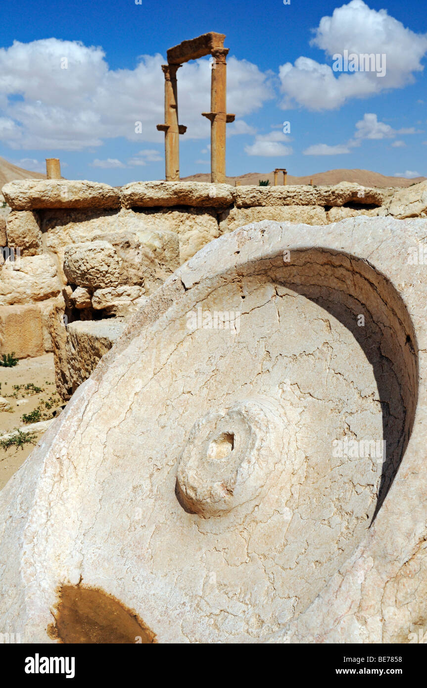 Macina nelle rovine di Palmyra sito archeologico, Tadmur, Siria, Asia Foto Stock