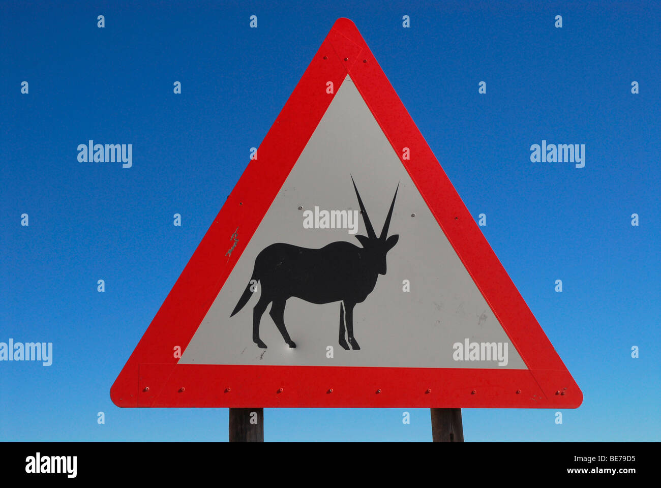 Segno di avvertimento di attraversamento di Gemsbok (Oryx Gazella), vicino Aus, Namibia, Africa Foto Stock