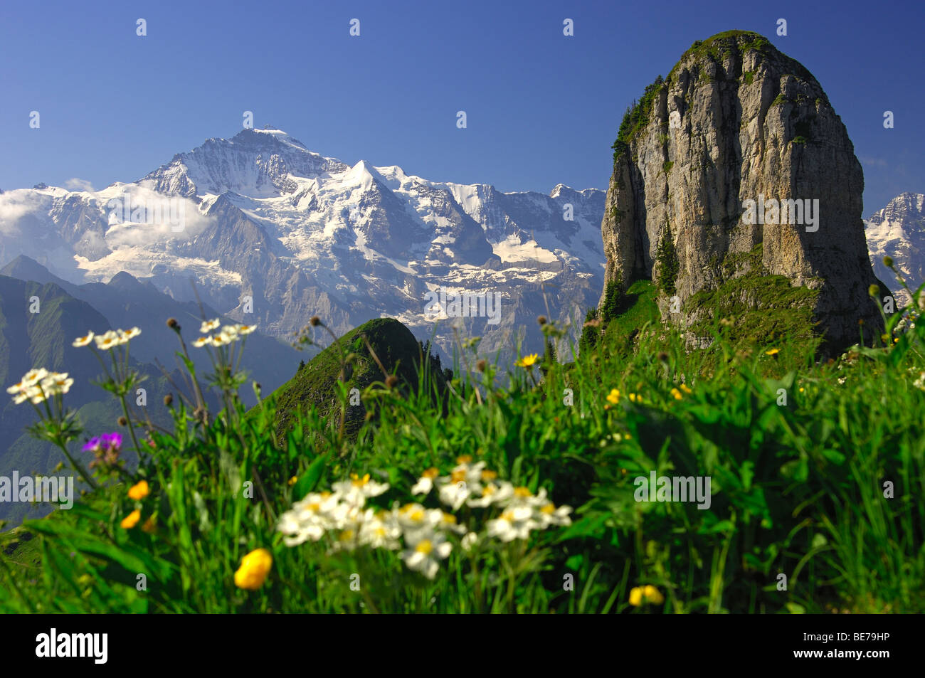 Visualizza in corrispondenza del picco della Jungfrau Top d'Europa, picco Daubenhorn destra, vicino a Grindelwald, Oberland bernese, Svizzera Foto Stock