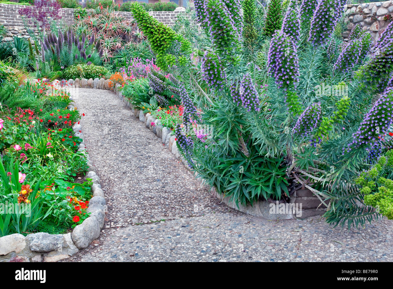 Percorso in giardini presso il Carmelo di missione. Carmelo dal mare, California. Foto Stock