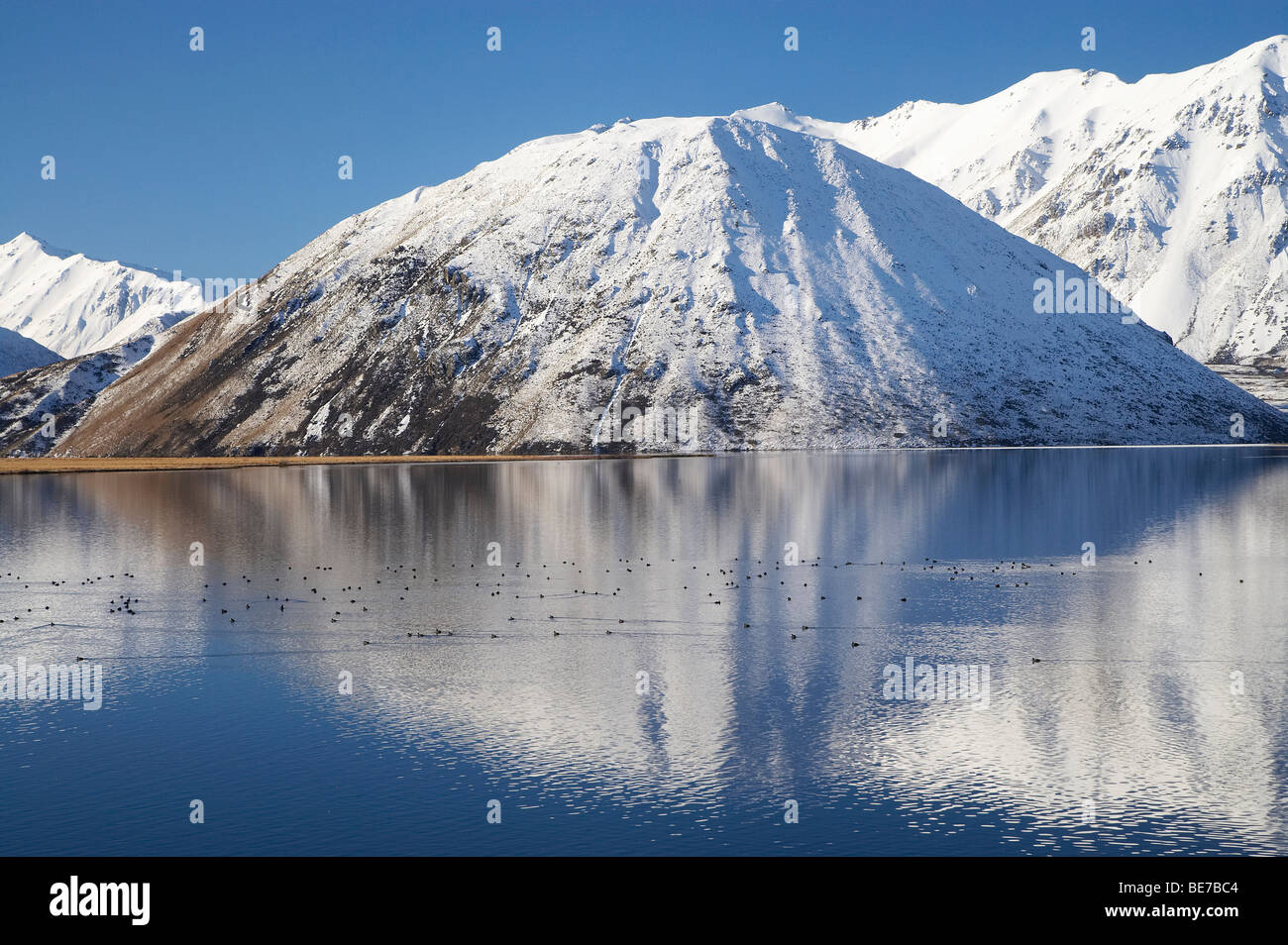 Mt Sugarloaf si riflette nel lago Heron, Canterbury, Isola del Sud, Nuova Zelanda Foto Stock