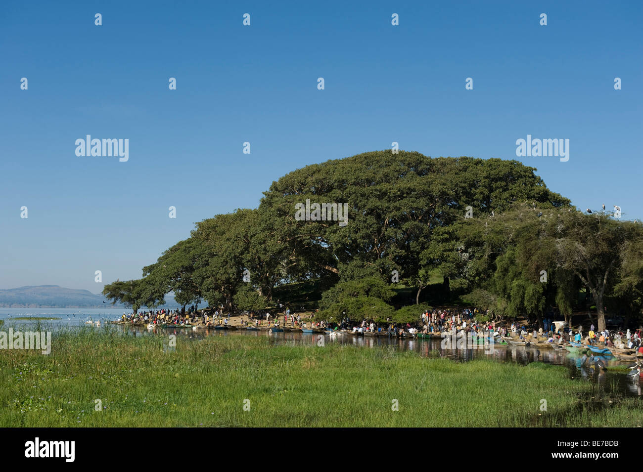 Mercato del Pesce di lago, Awassa, Etiopia Foto Stock