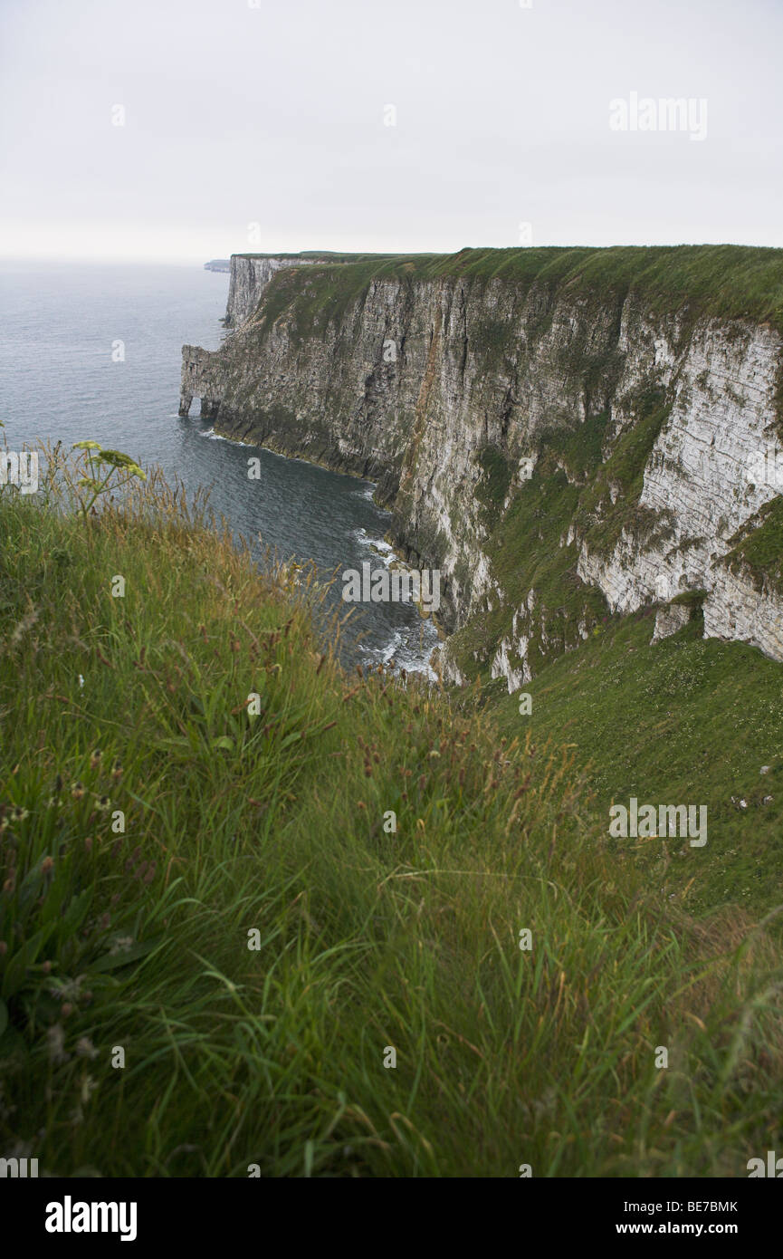 Vista del Mare del Nord e Bempton Cliffs e piste su nuvoloso mattina nello Yorkshire, Regno Unito in giugno. Foto Stock