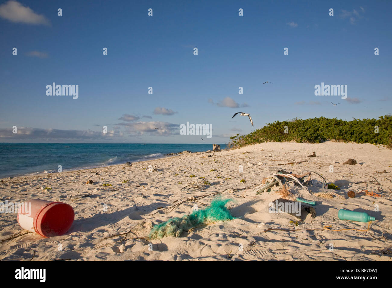 Detriti marini si è incagliata sulla spiaggia di un Nord isola del Pacifico Foto Stock