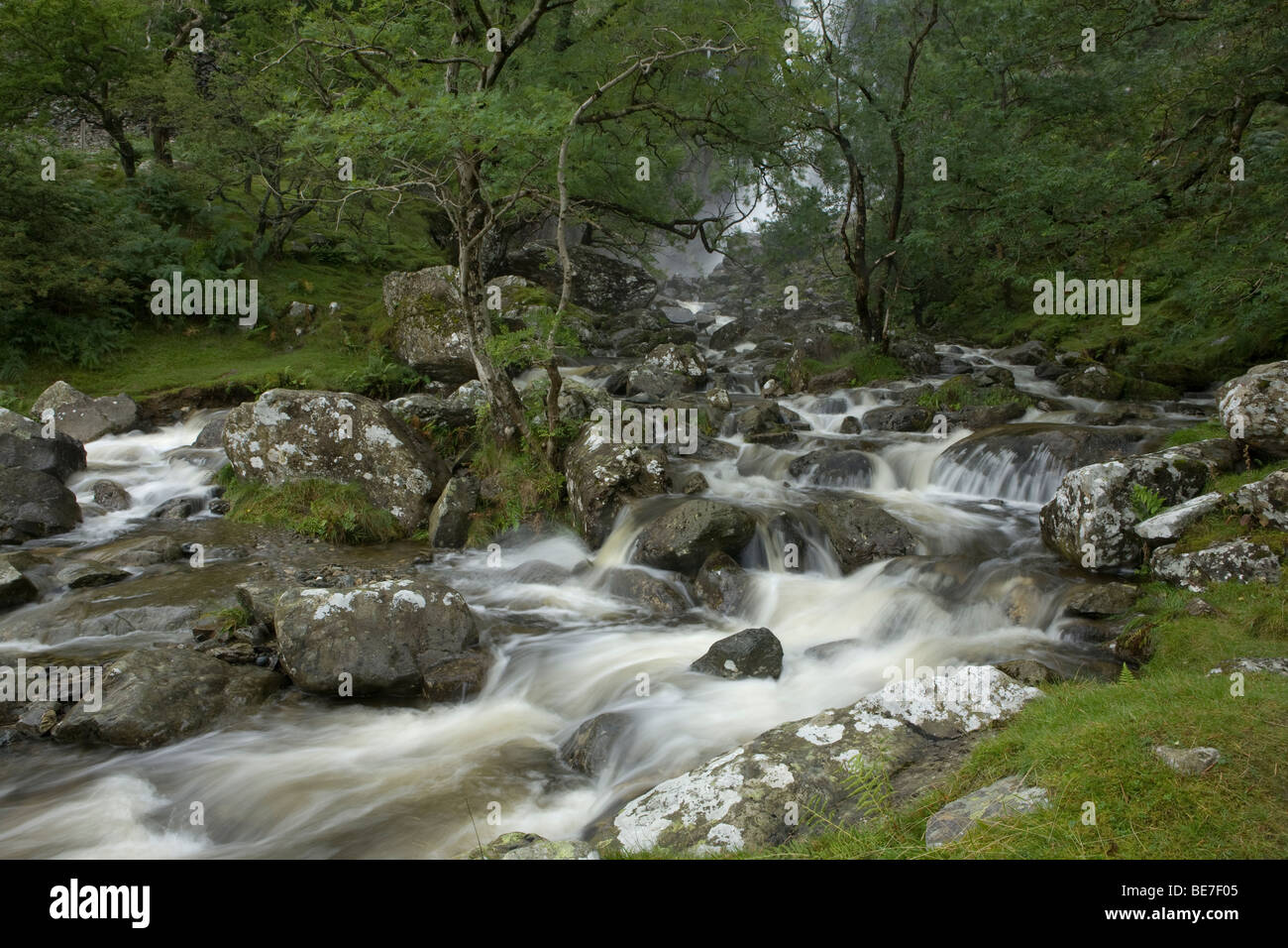 Di seguito Stream Aber cade in Coedydd Riserva Naturale Nazionale, Conwy, Wales, Regno Unito Foto Stock