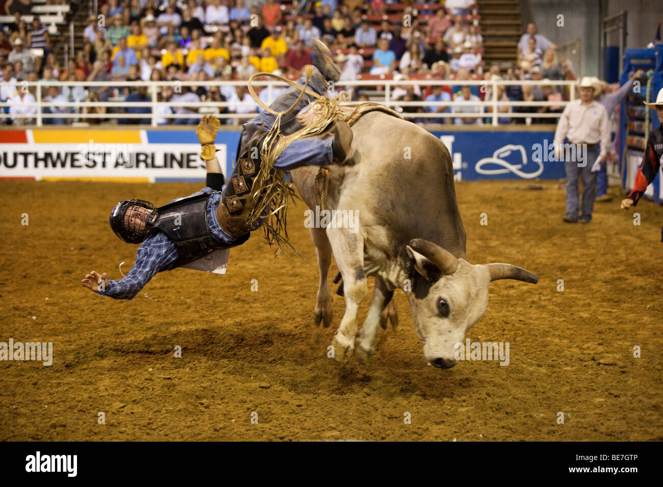 Cowboy da rodeo bull riding al campionato di Mesquite Rodeo, Mesquite, Texas, Stati Uniti d'America Foto Stock