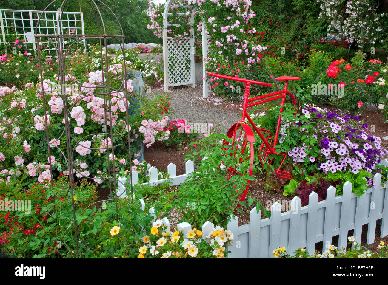 Red bike nel giardino display. Cimelio di giardini, San Paolo, Oregon. Foto Stock