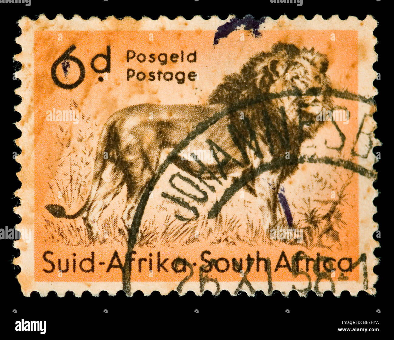 Vintage annullato francobollo con lion illustrazione. Sud Africa,  Johannesburg, 1958 Foto stock - Alamy