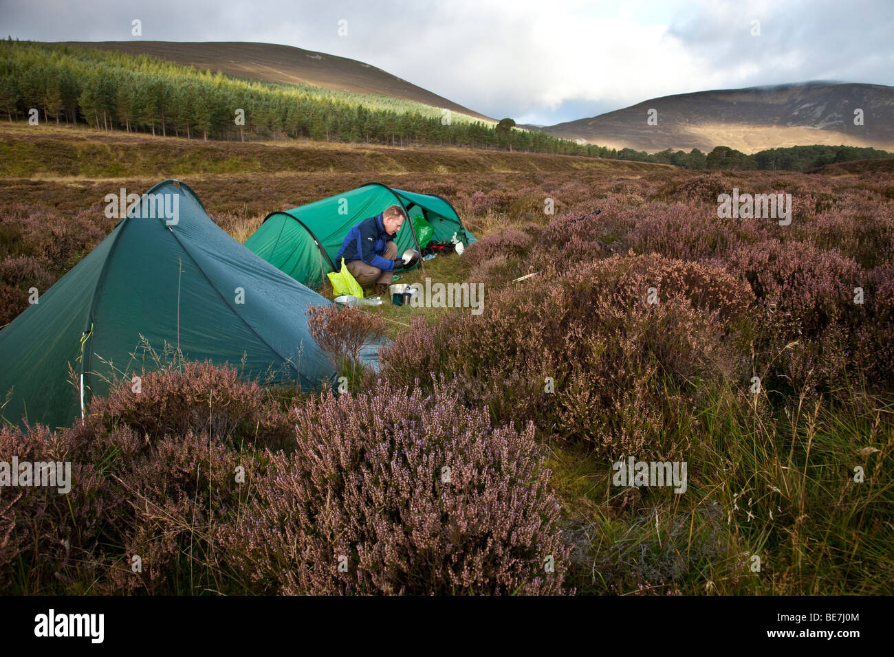 Un uomo si prepara a cucinare al di fuori la sua tenda tra le eriche in Cairngorm mountains, Scozia Foto Stock