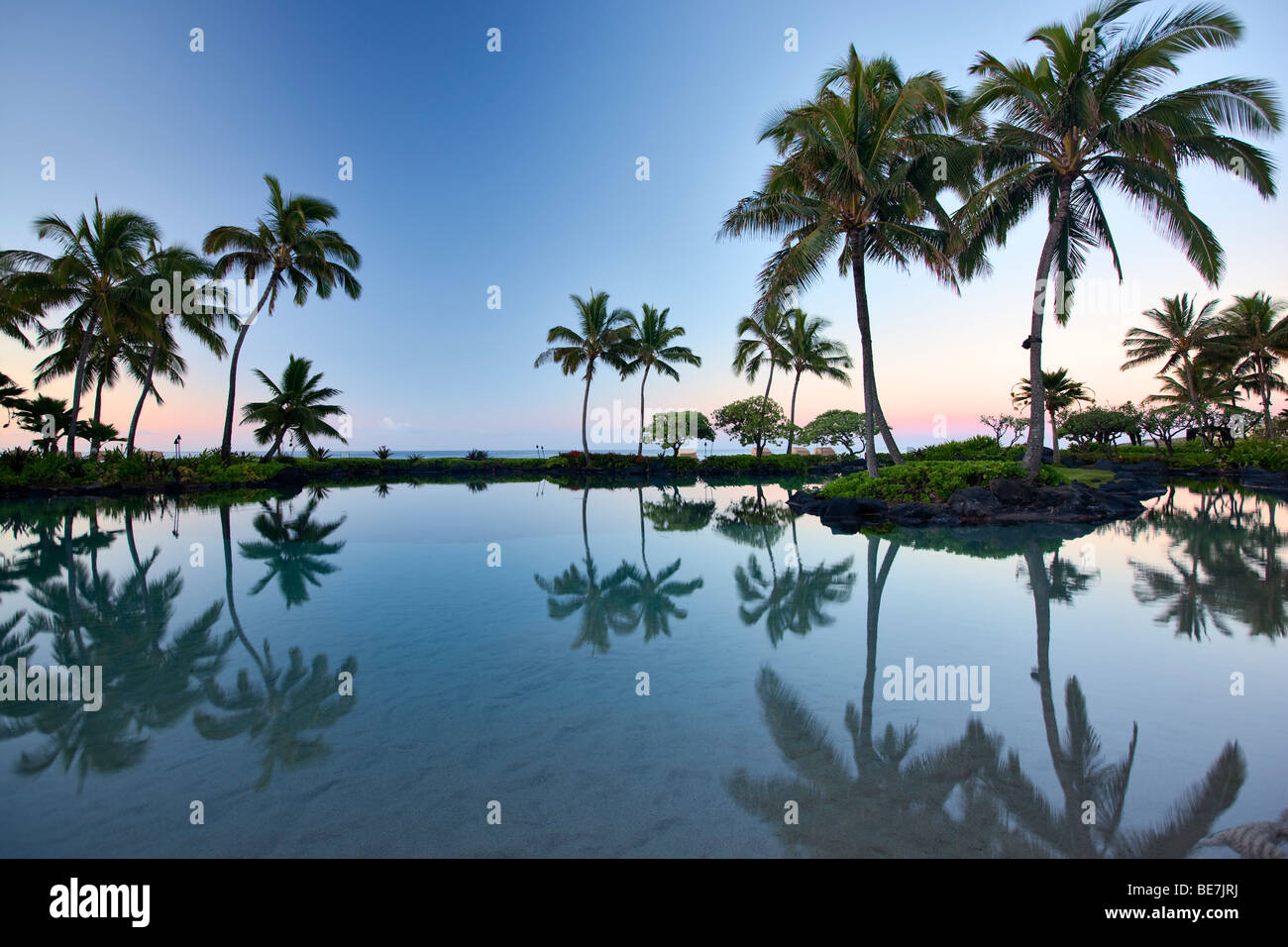 Stagno riflettente di alberi di palma. Grand Hyatt, Kauai, Hawaii Foto Stock